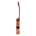 Woodpecker 36