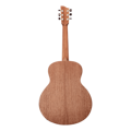 Woodpecker 36