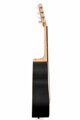 Woodpecker 31