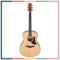 Ibanez AAM50-OPN