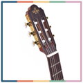 Sigma Guitars CM-2