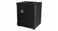 Ashdown RM-112T-EVO