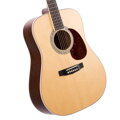 Cort Earth100 NS