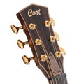 Cort Modern Black TBK /w case