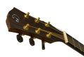 Dowina Sauvignon DC-s