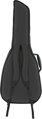 Fender FAC-610 Classical Gig Bag