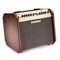 Fishman Loudbox Mini Bluetooth