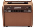 Fishman Loudbox Mini Charge