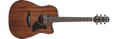 Ibanez AAD190CE-OPN