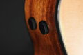 Ibanez AE295L-LGS