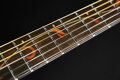Ibanez AE295L-LGS