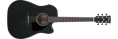 Ibanez AW1040CE-WK