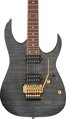 Ibanez RGR420FMSPTGF Transparent Gray Flat