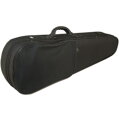 Petz violin YB40VNV - ready to play