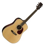 Cort Earth100PF NAT