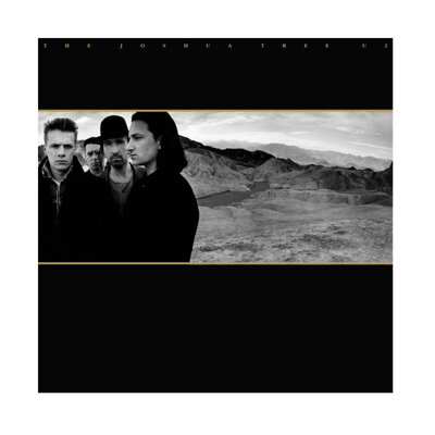 U2 The Joshua Tree (LP vinyl)