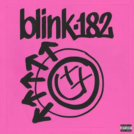 Blink 182 One More Time... (LP vinyl)