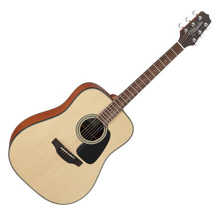 Takamine GD10-NS