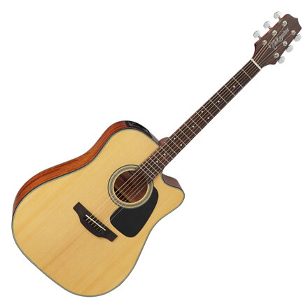 Takamine GD10CE-NS