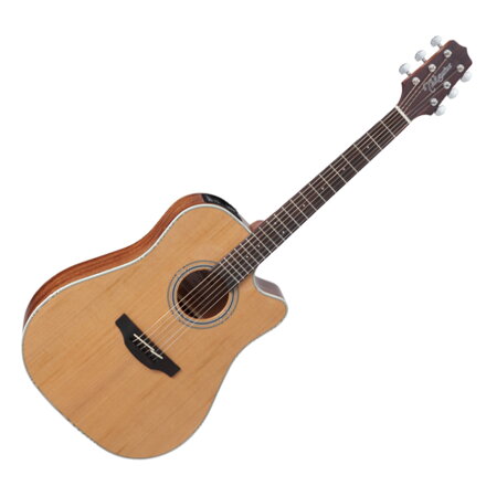 Takamine GD20CE-NS