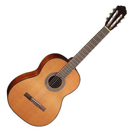 Cort AC100 SG s obalom