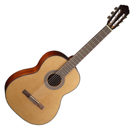 Cort AC200-NT