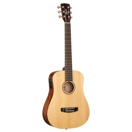 Cort Earth Mini E Adirondack