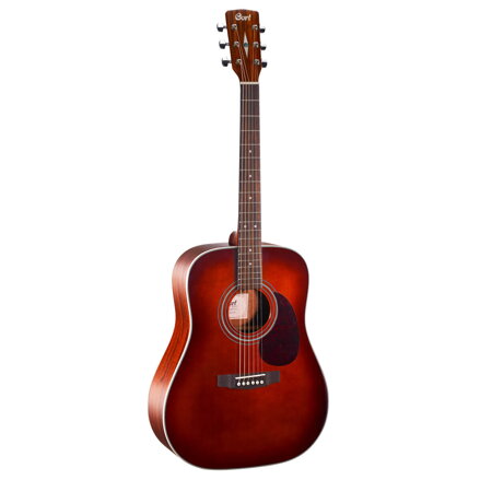 Cort Earth70 BR