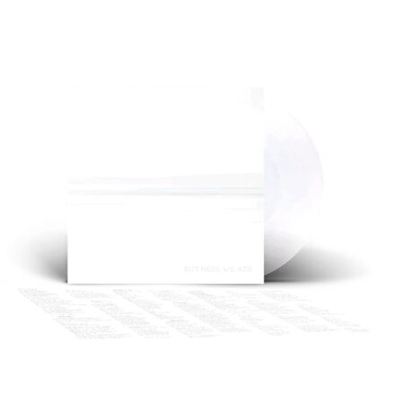 Foo Fighters But Here We Are (LP vinyl)