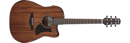 Ibanez AAD190CE-OPN