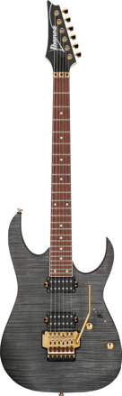 Ibanez RGR420FMSPTGF Transparent Gray Flat
