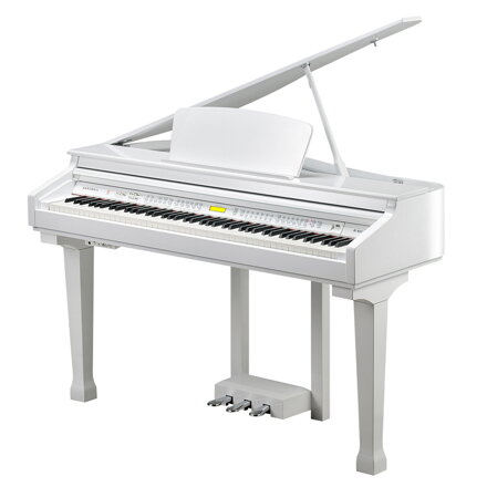 Kurzweil KAG100 White Polished