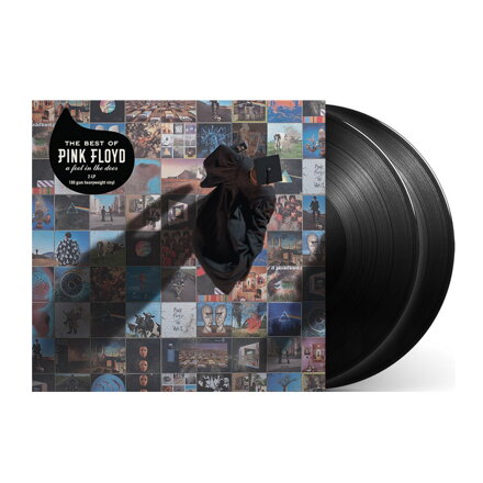 Pink Floyd A Foot In the Door (LP vinyl)