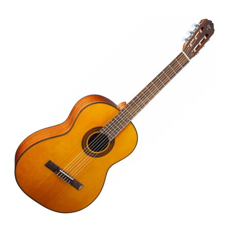 Takamine GC1-NAT