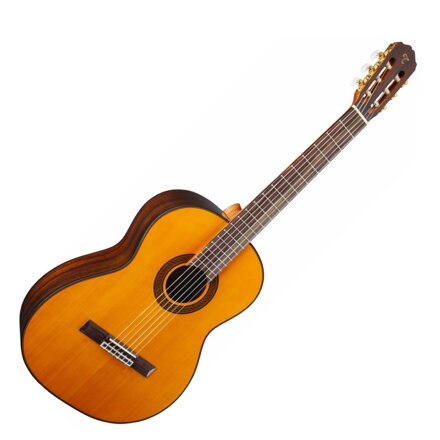 Takamine GC5-NAT