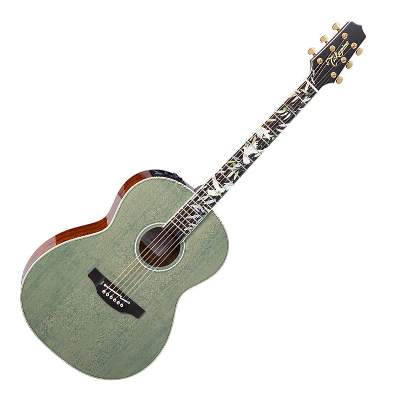 Takamine LTD2020 Peace