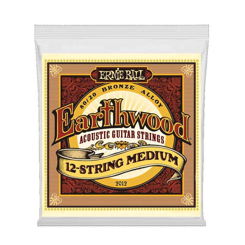 Ernie Ball 2012 Earthwood 12 string Medium