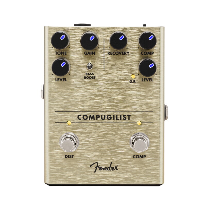 Fender Compugilist