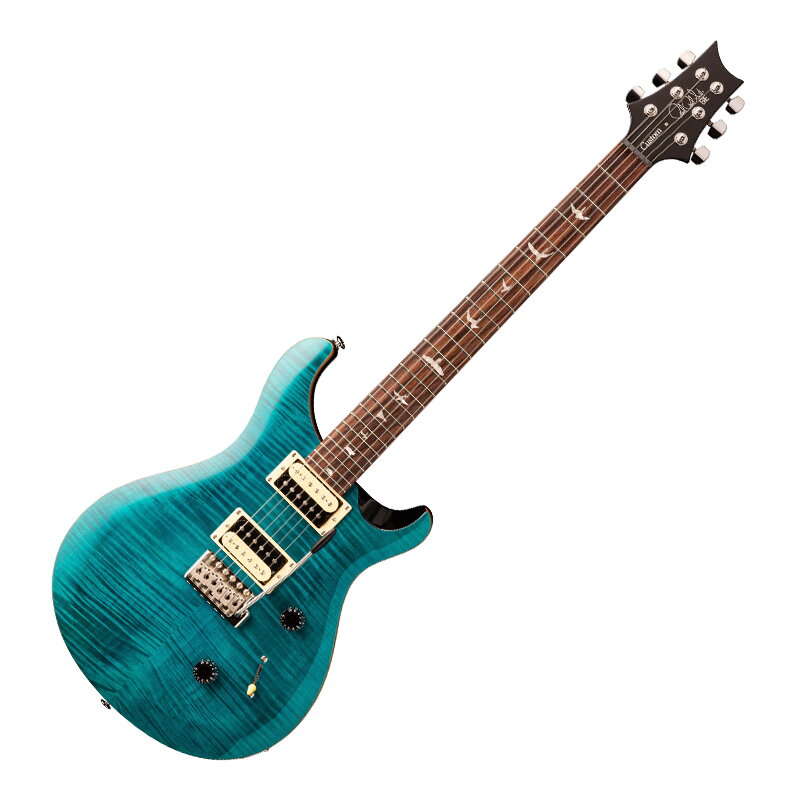 PRS SE Custom 24 SA